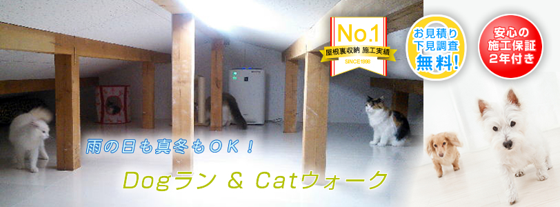 [C[W3